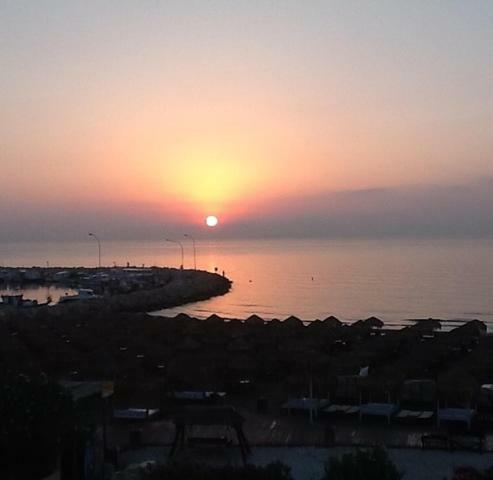 לרנקה Haig'S Dream Flat On The Beach מראה חיצוני תמונה