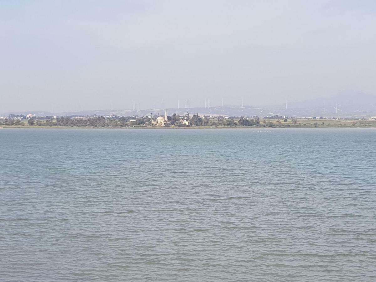 לרנקה Haig'S Dream Flat On The Beach מראה חיצוני תמונה
